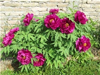 6d8432f1-Picture 757.jpg